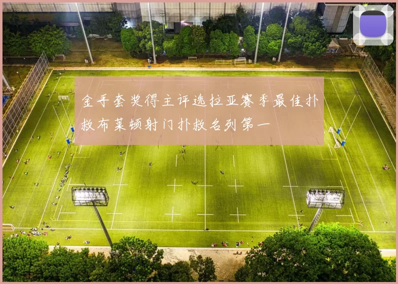 金手套奖得主评选拉亚赛季最佳扑救布莱顿射门扑救名列第一