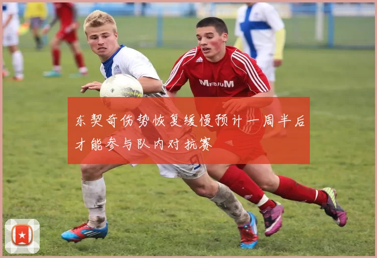 东契奇伤势恢复缓慢预计一周半后才能参与队内对抗赛