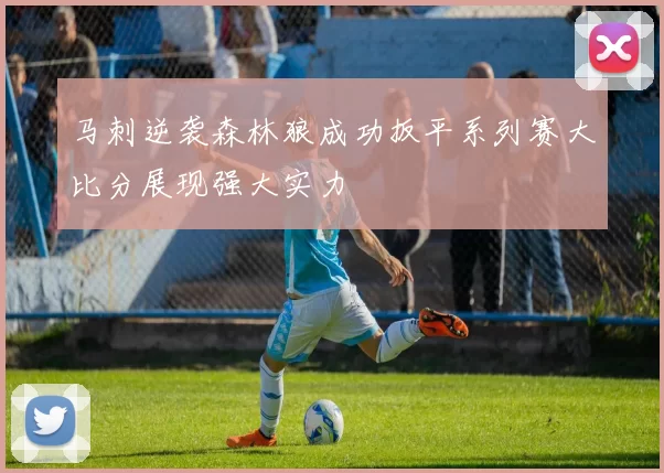 马刺逆袭森林狼成功扳平系列赛大比分展现强大实力